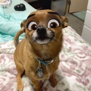 Meet your Posher, Janalee